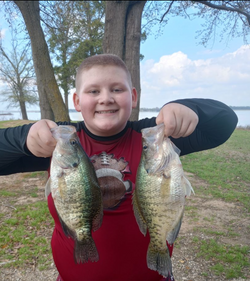 Embrace the thrill of Crappie fishing in Lake Fork